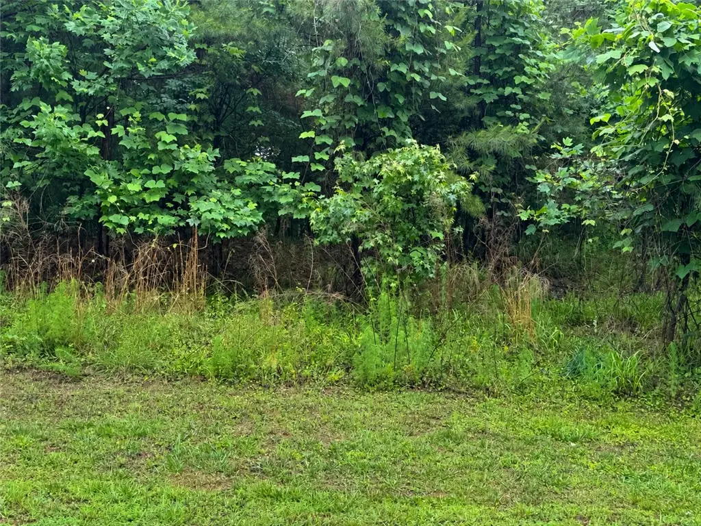 82A2 Safety Harbor Road, West Union, SC 29696 - #1