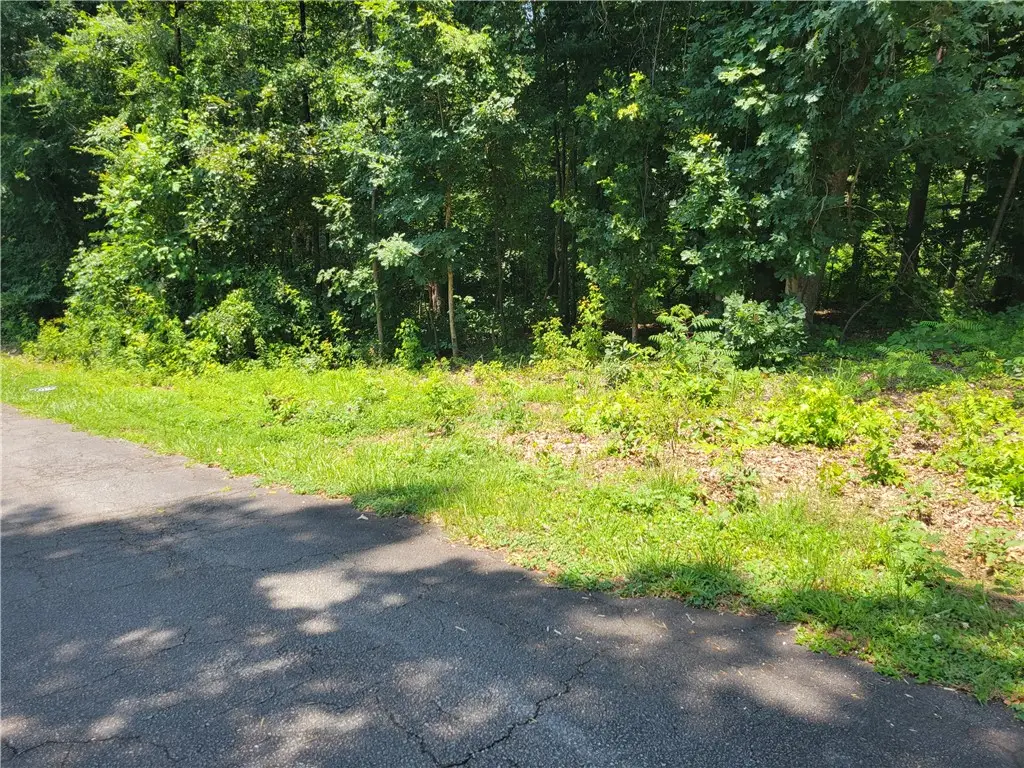 00 Fox Fire Road, Central, SC 29630 - #1