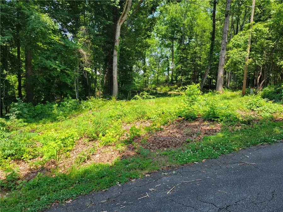 00 Fox Fire Road, Central, SC 29630 - #2