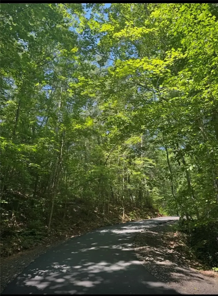 Tract U The Bear Boulevard, Tamassee, SC 29686 - #2