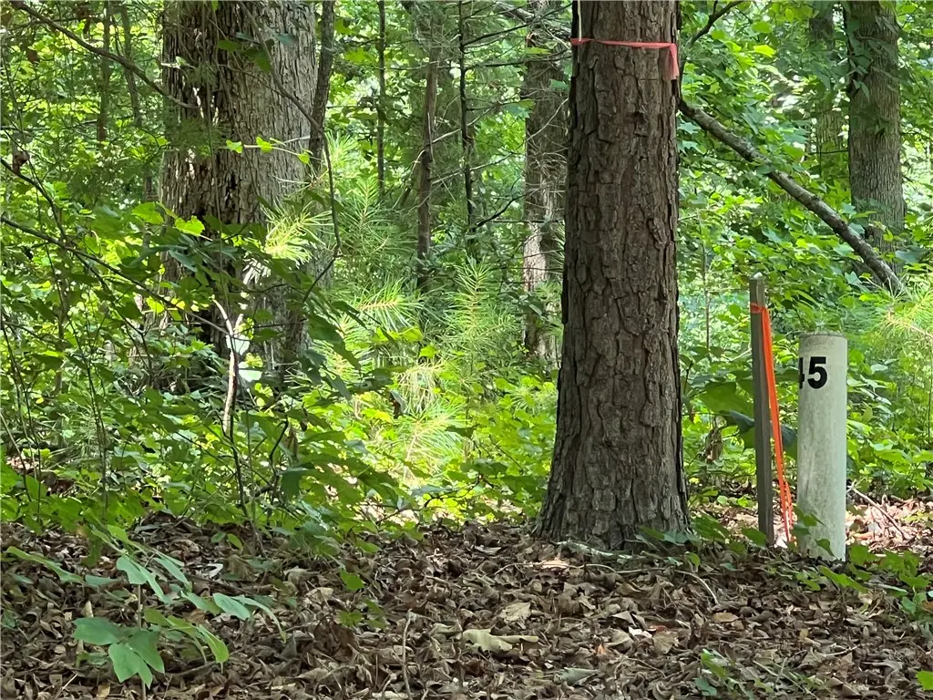 00 Promontory Ridge #Lot 45 Stillwater, Seneca, SC 29672 - #1