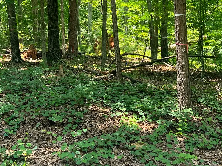 00 Promontory Ridge #Lot 45 Stillwater, Seneca, SC 29672 - #3