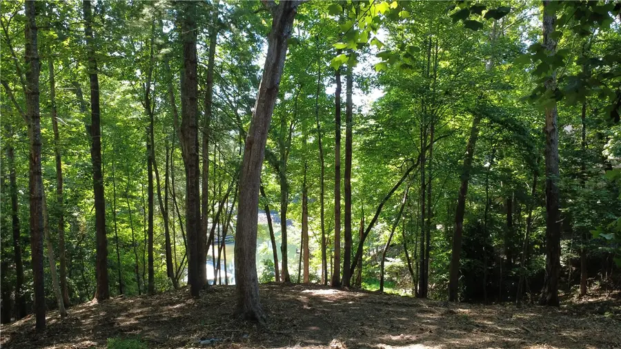 601 Wind Flower Drive, Sunset, SC 29685 - #3