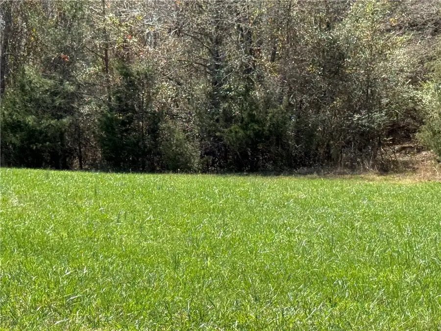 00 Holland Ford Road, Pelzer, SC 29669 - #2