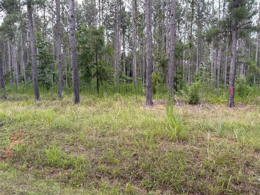 4.42 acres Mike Mcconnell Avenue, Iva, SC 29655 - #2