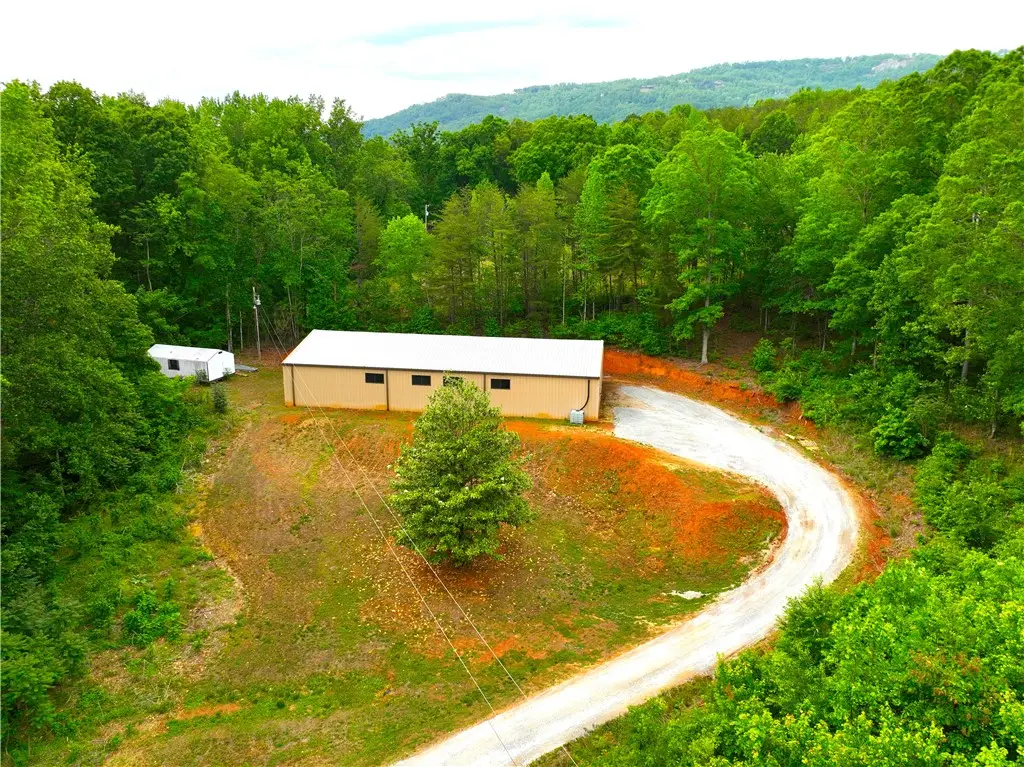 993 Barton Road, Landrum, SC 29356 - #1