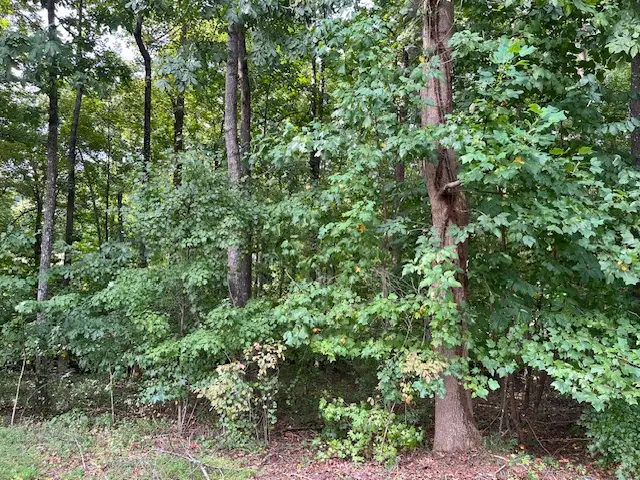 111 Falls Drive, Westminster, SC 29693 - #1