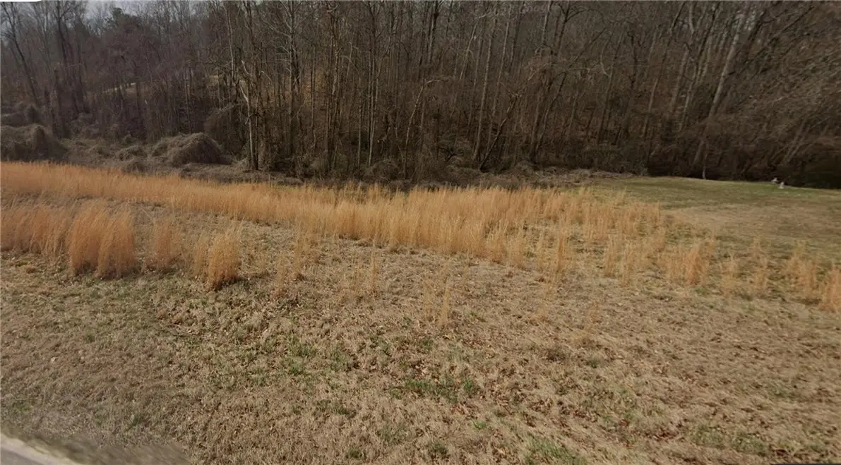 501 Central Road, Pendleton, SC 29670 - #1