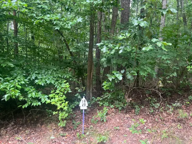135 Tulip Lane, Westminster, SC 29693 - #1