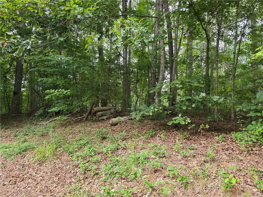00 Smoke Rise Drive #Lot 33 & 34 Delta Estates, Westminster, SC 29693 - #2