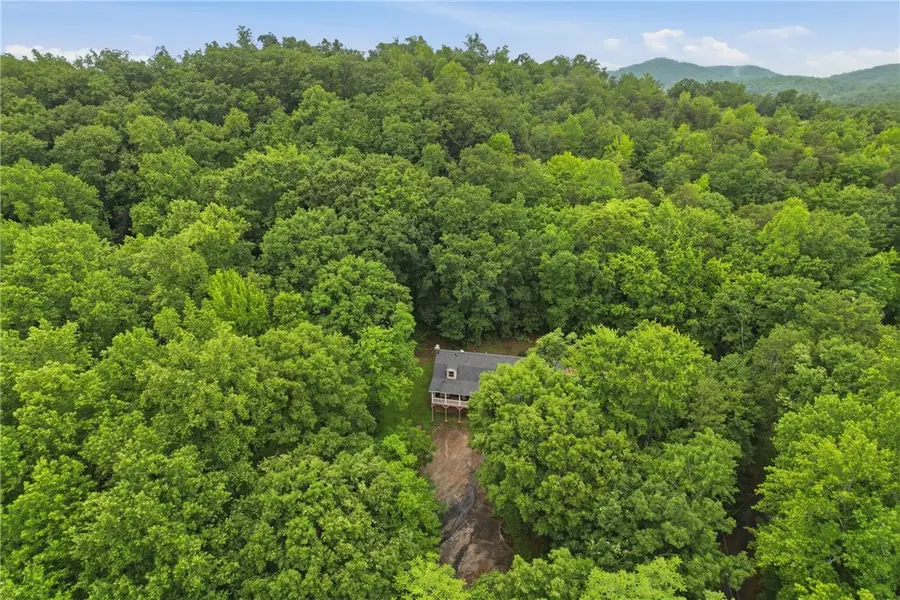 211 Narrow Way, Travelers Rest, SC 29690 - #3