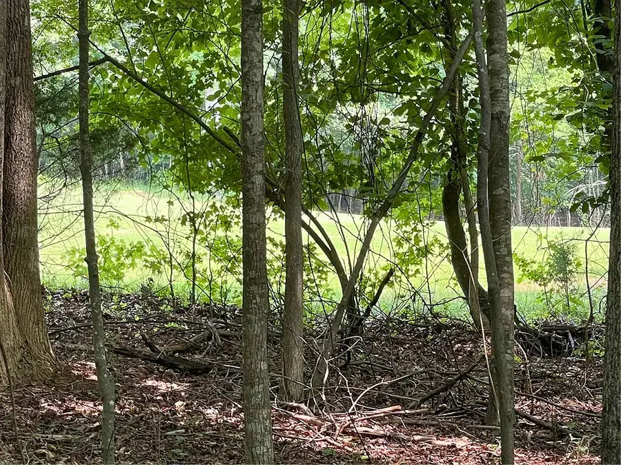 Lot 784 S Hogan Drive, Westminster, SC 29693 - #2