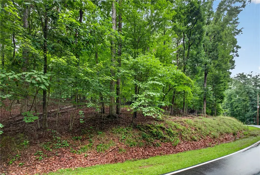 Lot 790 S Hogan Drive, Westminster, SC 29693 - #3