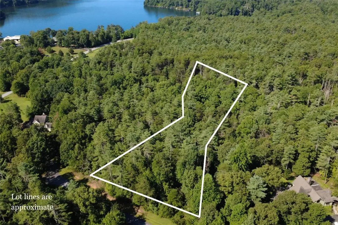 205 Vineyard Park, Sunset, SC 29685 - #1