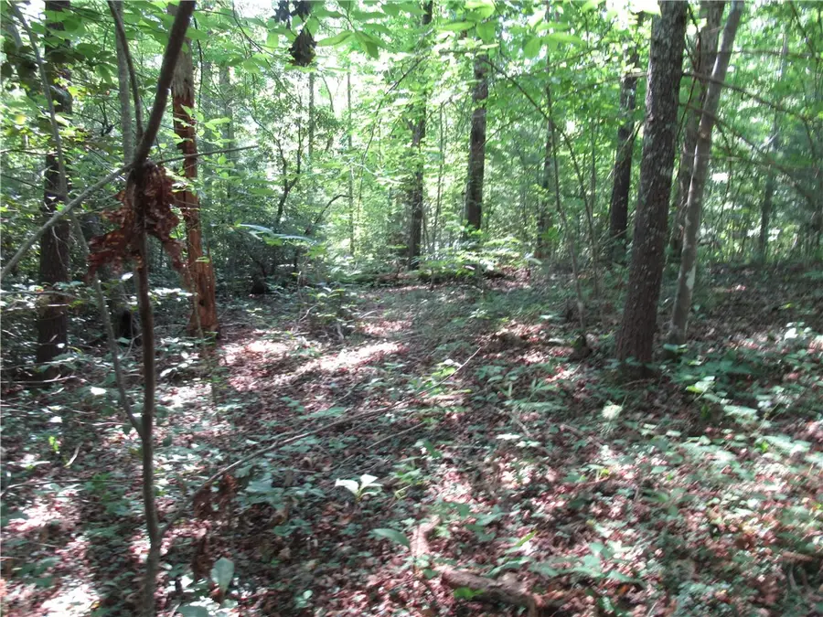 00 Gauley Falls Road, Pickens, SC 29671 - #2