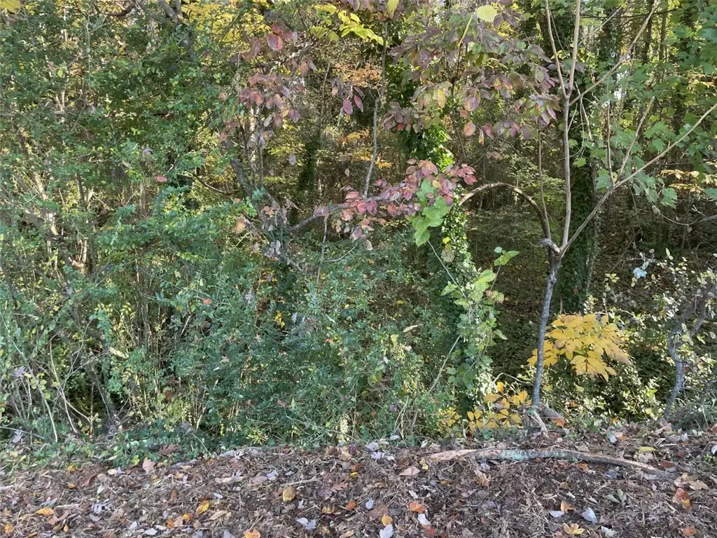 Lot 10 Brookforest Drive, Anderson, SC 29621 - #1