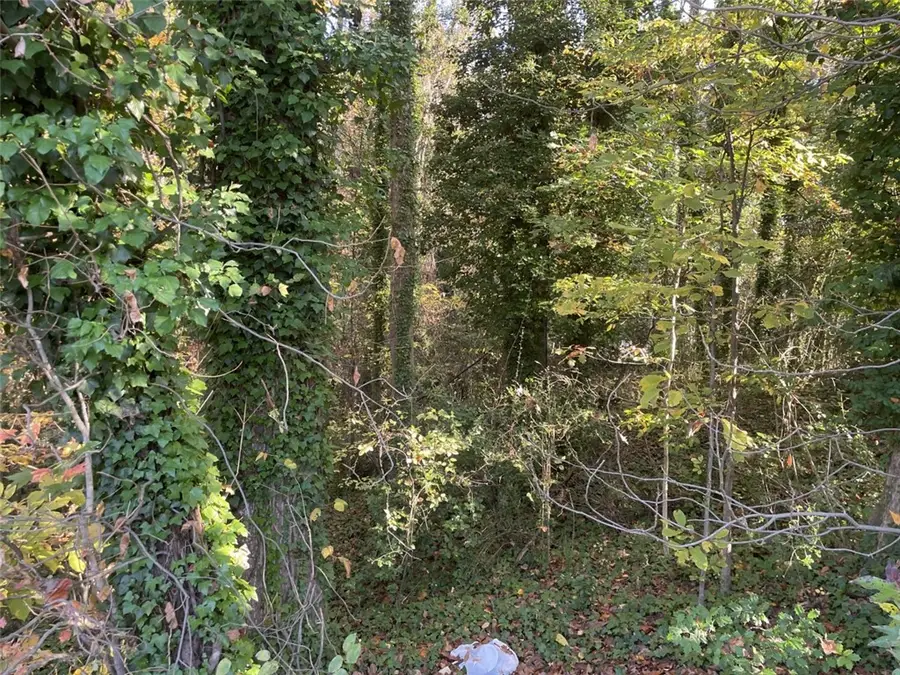 Lot 10 Brookforest Drive, Anderson, SC 29621 - #2