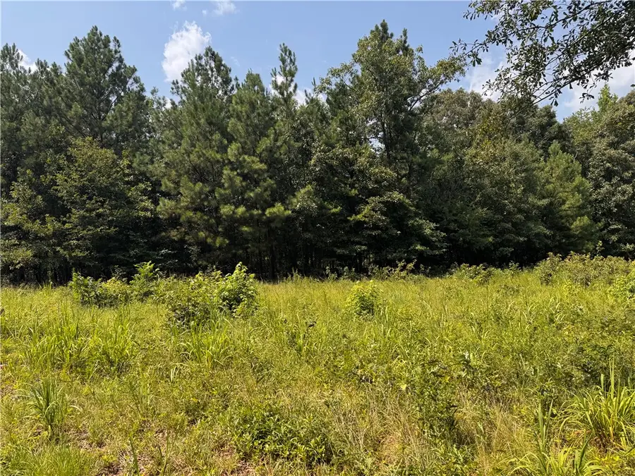 1616 Blue Ridge Avenue, Belton, SC 29627 - #3