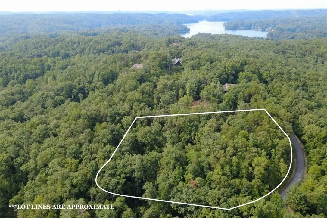 122 Teaberry Lane, Sunset, SC 29685 - #1