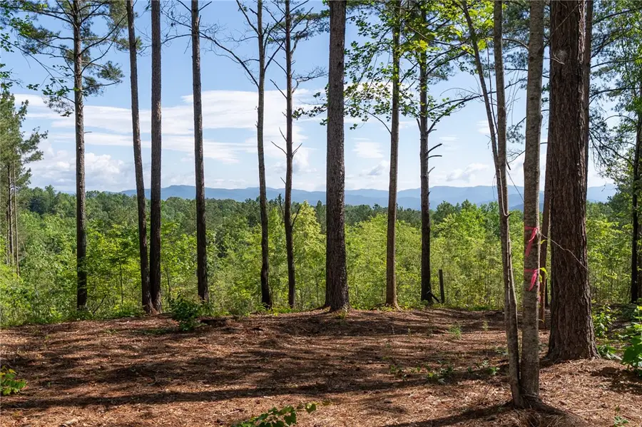 Lot 1 Canebrake Estates, Salem, SC 29676 - #3