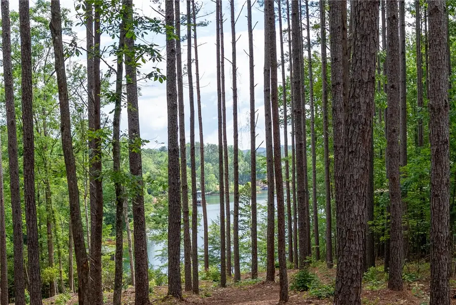 Lot 5 Canebrake Estates, Salem, SC 29676 - #3