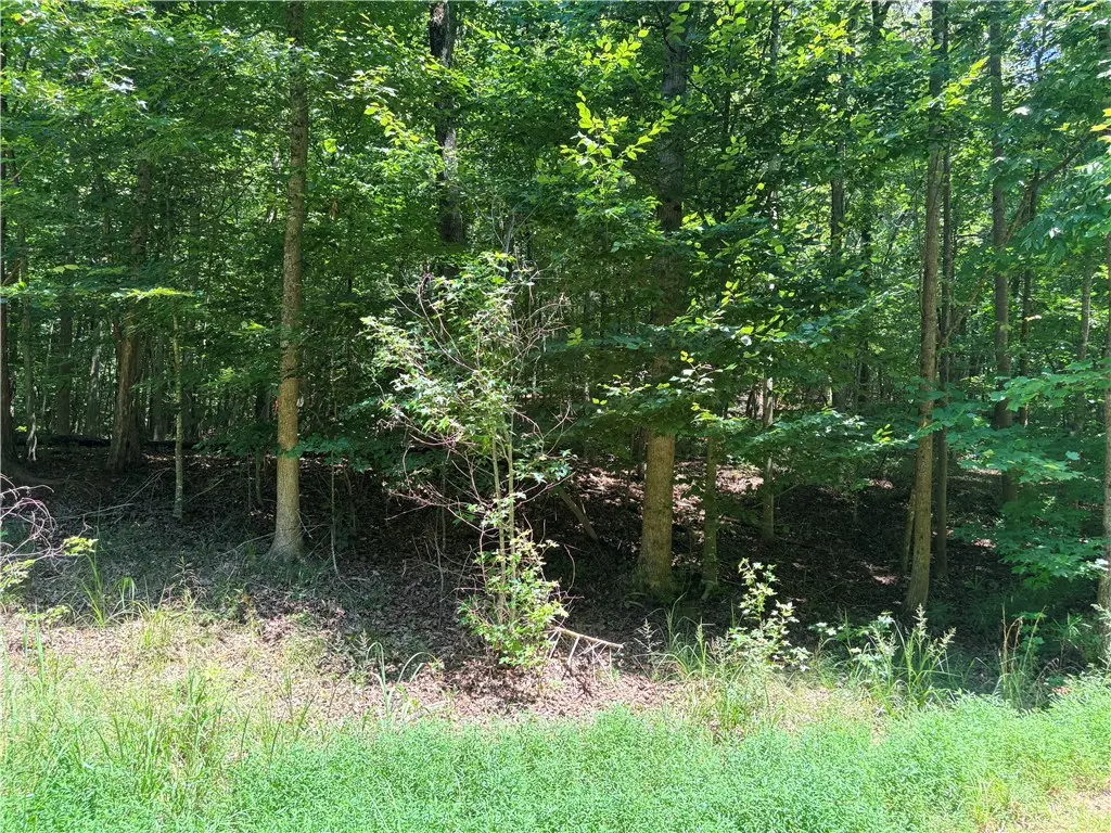 2176 LOT N Sundew Drive, Westminster, SC 29693 - #1