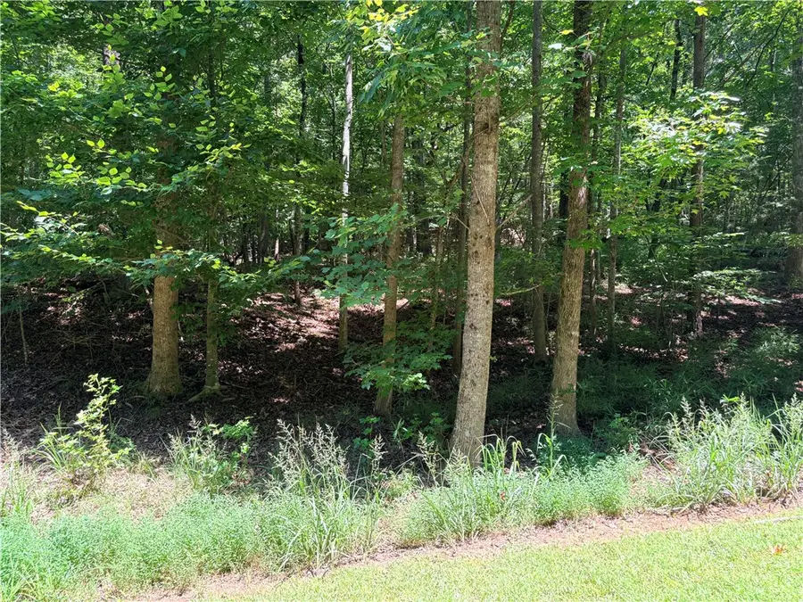 2176 LOT N Sundew Drive, Westminster, SC 29693 - #2