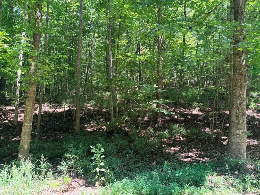 2176 LOT N Sundew Drive, Westminster, SC 29693 - #3