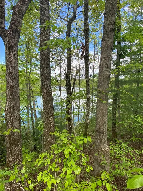 0 Crystal Lake Road #Lot 36, Mountain  Rest, SC 29664