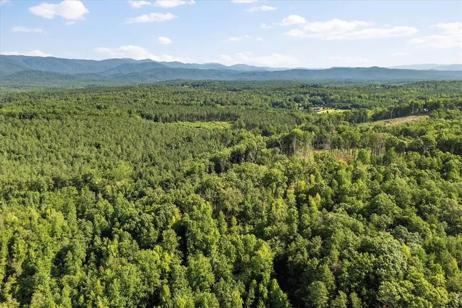 Tract Q The Bear Boulevard, Tamassee, SC 29686 - #2