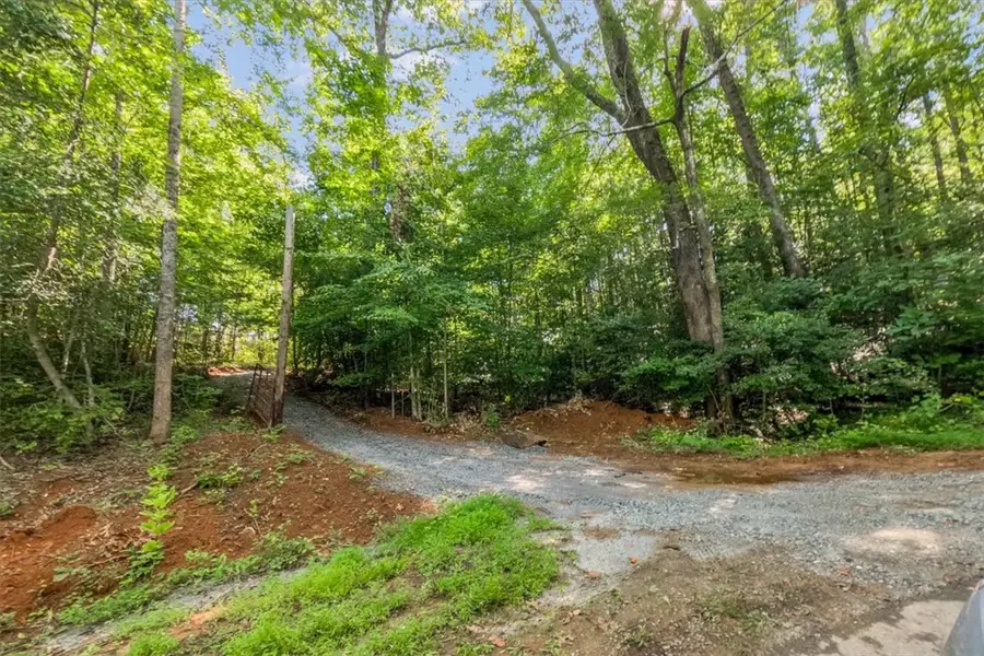 Tract Q The Bear Boulevard, Tamassee, SC 29686 - #3