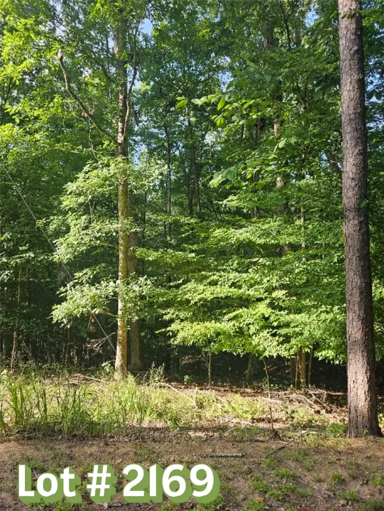 Lot 2169 North Sundew Drive, Westminster, SC 29693 - #2