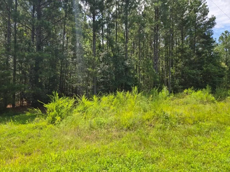 00 Shrine Club Road, Waterloo, SC 29384 - #1