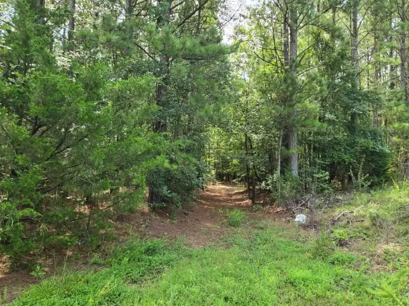 00 Shrine Club Road, Waterloo, SC 29384 - #3
