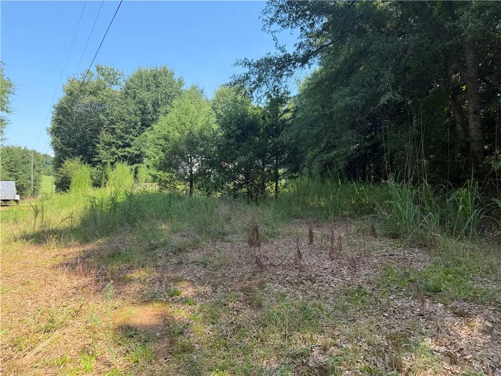 163 Liberty Highway, Liberty, SC 29657 - #1