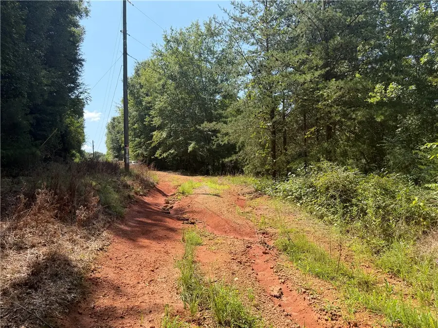 163 Liberty Highway, Liberty, SC 29657 - #2
