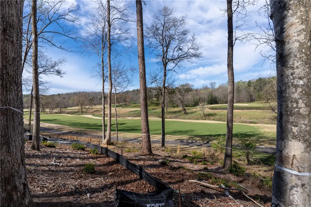 Lot 1 Cliffs South Parkway, Salem, SC 29676 - #1