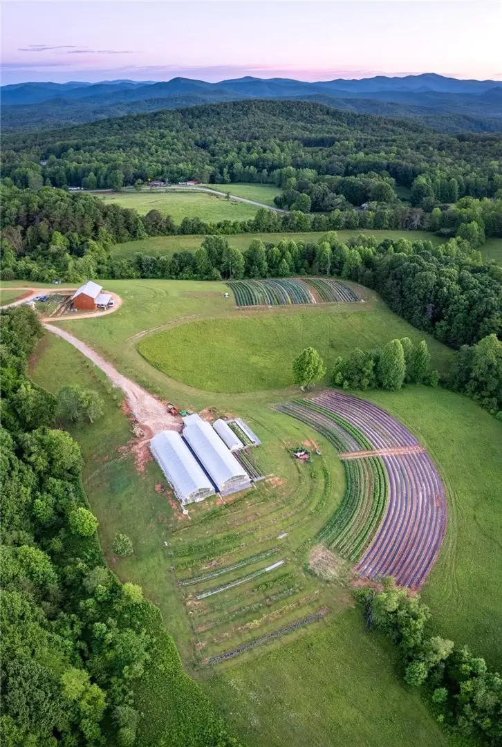 498 Raines Road, Mountain Rest, SC 29664 - #2