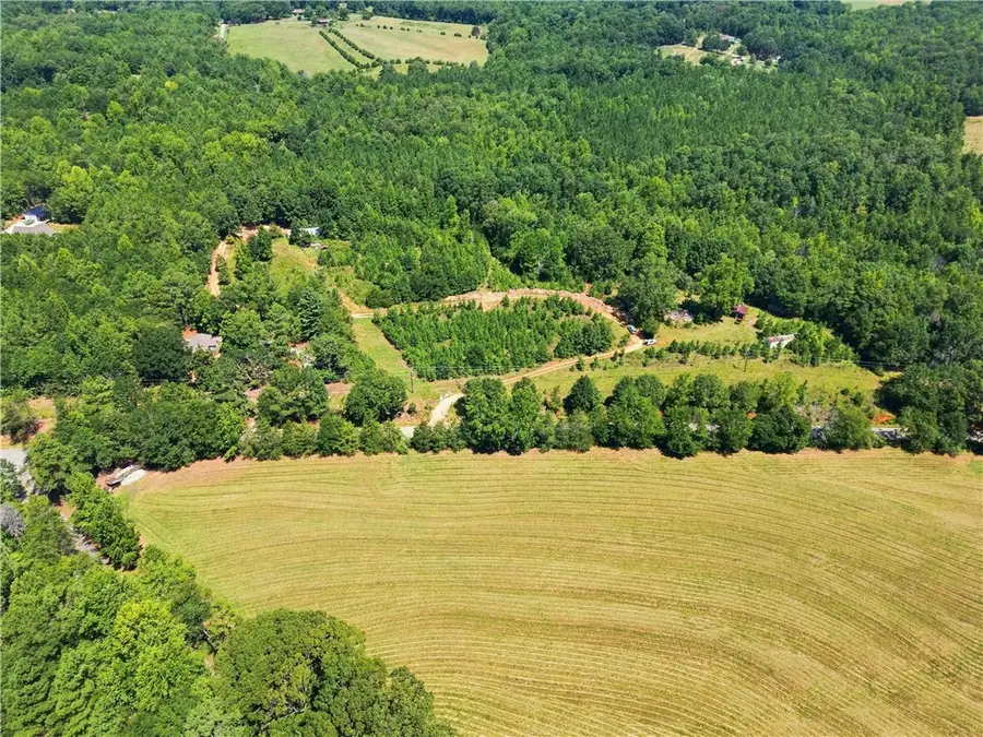 1488 Liberty Highway, Six Mile, SC 29682 - #2