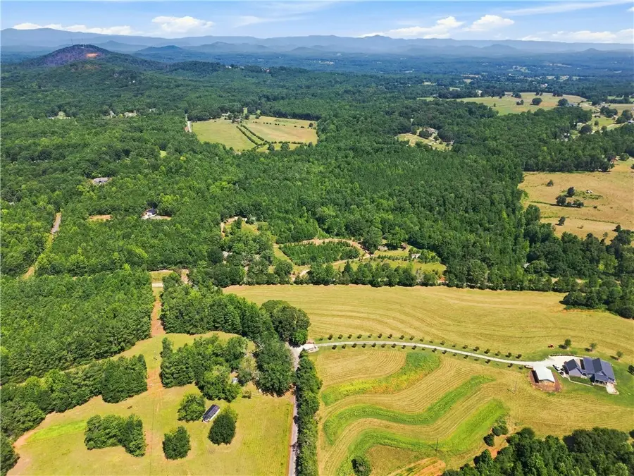 1488 Liberty Highway, Six Mile, SC 29682 - #3
