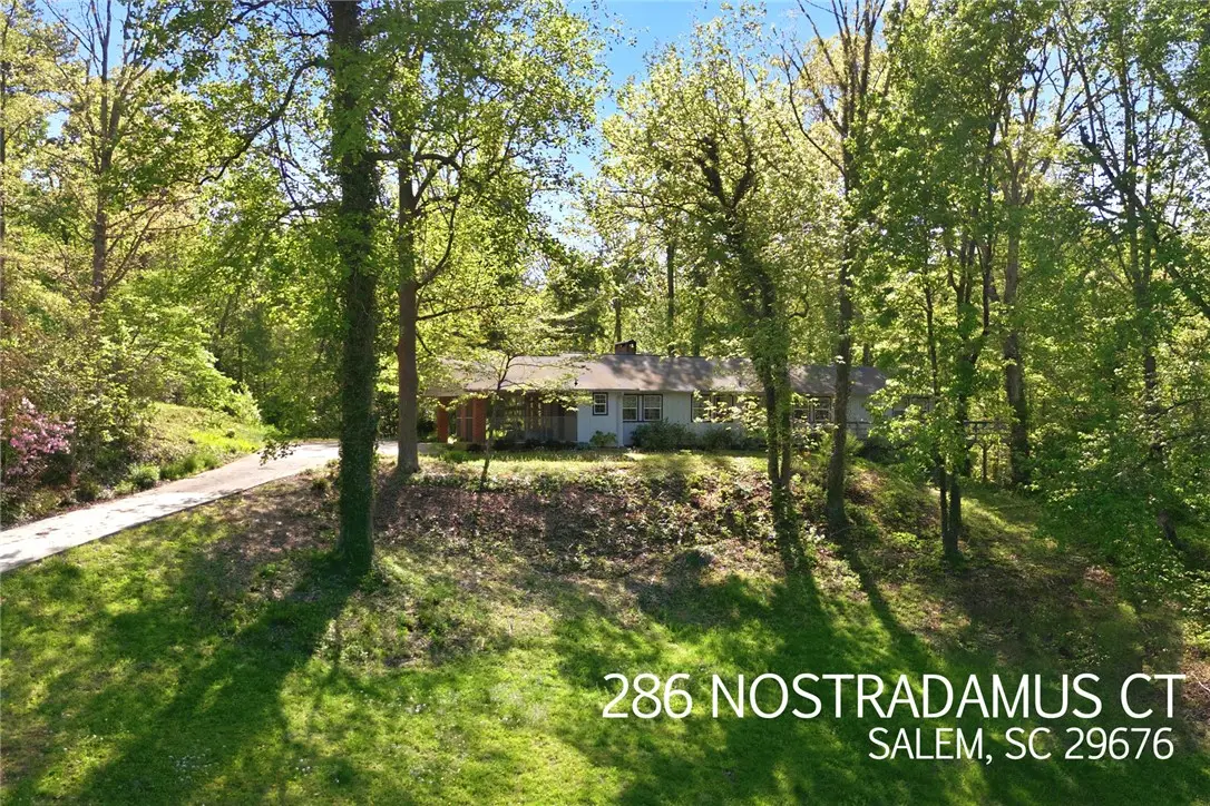 286 Nostradamus Court, Salem, SC 29676 - #1