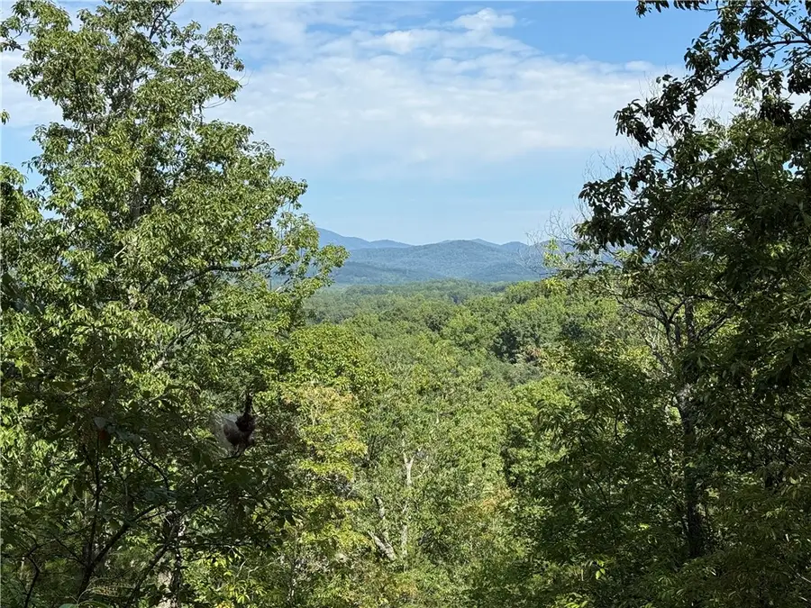 1140 Packs Mountain Ridge Road, Taylors, SC 29687 - #3