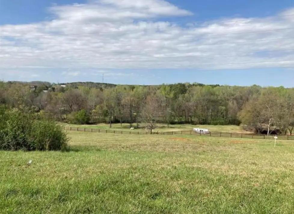 113 Horseshoe Bend Road, Easley, SC 29642 - #1