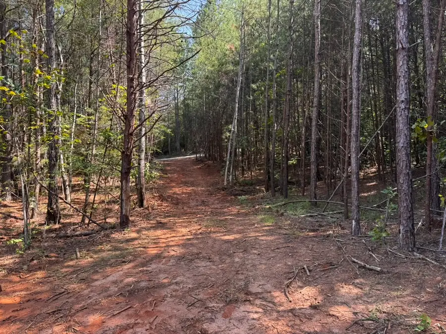 00 Dixon Road #Tract 3, Westminster, SC 29693 - #3