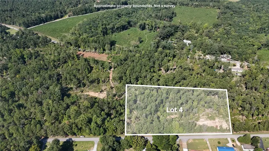 Lot 4 Rock Crusher Road, Walhalla, SC 29691 - #3