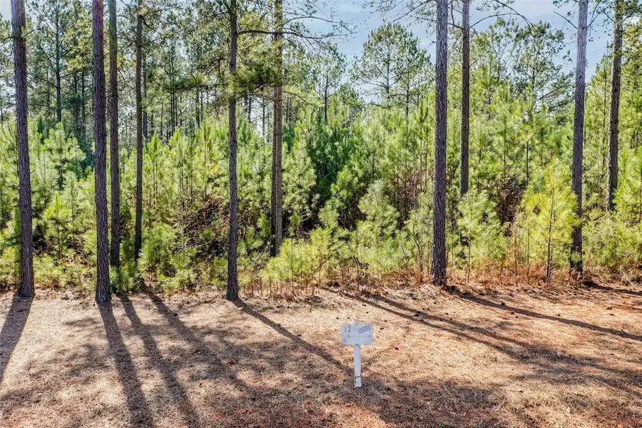 Lot 128 Mcalister Road, West Union, SC 29696 - #2