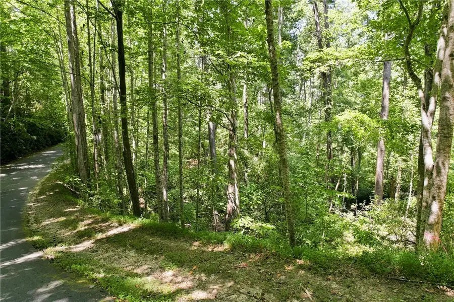 927 Bay Ridge Drive, Salem, SC 29676 - #3