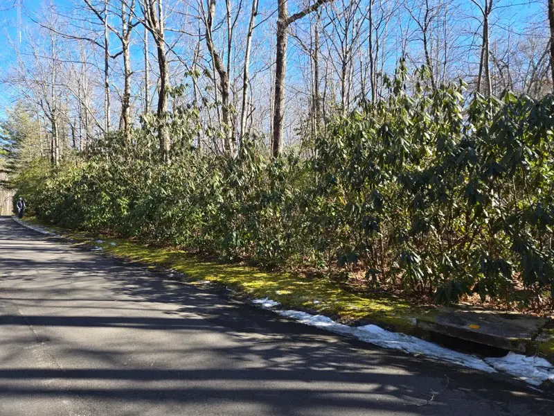 112 Hemlock Trail, Cleveland, SC 29635 - #1