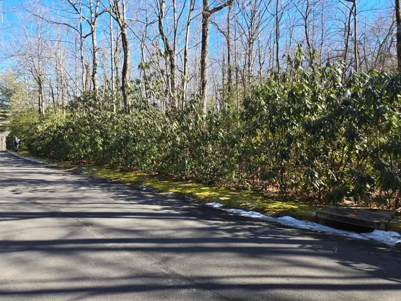 112 Hemlock Trail, Cleveland, SC 29635 - #3