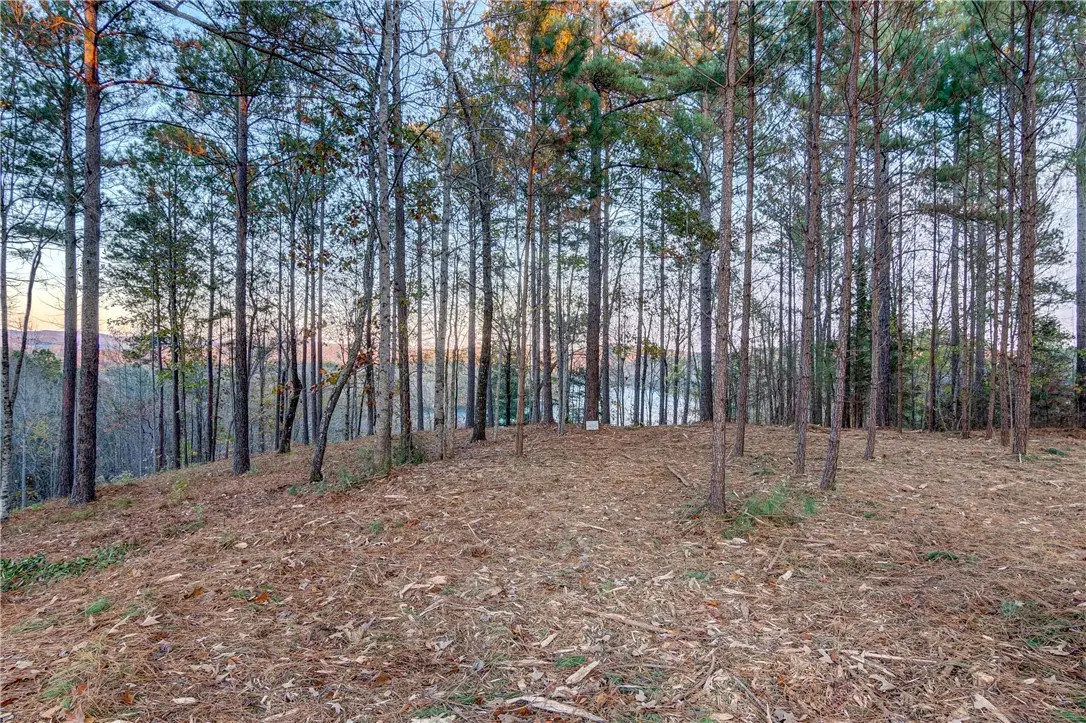 325 Button Wood Court, Salem, SC 29676 - #1